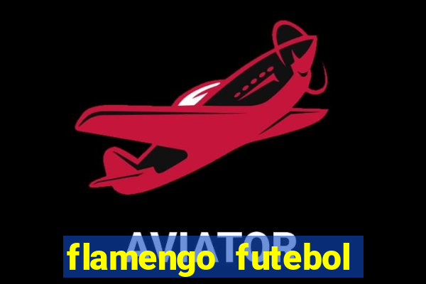 flamengo futebol play hd